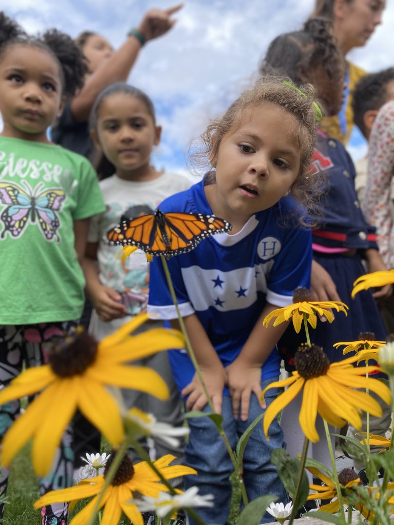 a young student is gazing intently at a monarch butterfly perched on a flower.